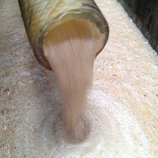 Here's what healthy brewer's yeast looks like! #thinktaste