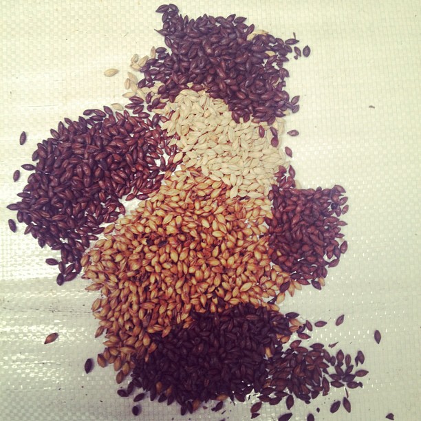 Just some of the specialty malts we use in the Moxxee Coffee Stout...