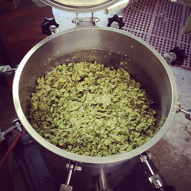 Our hopback is full of fresh whole leaf hops for the Goliath Double IPA...
