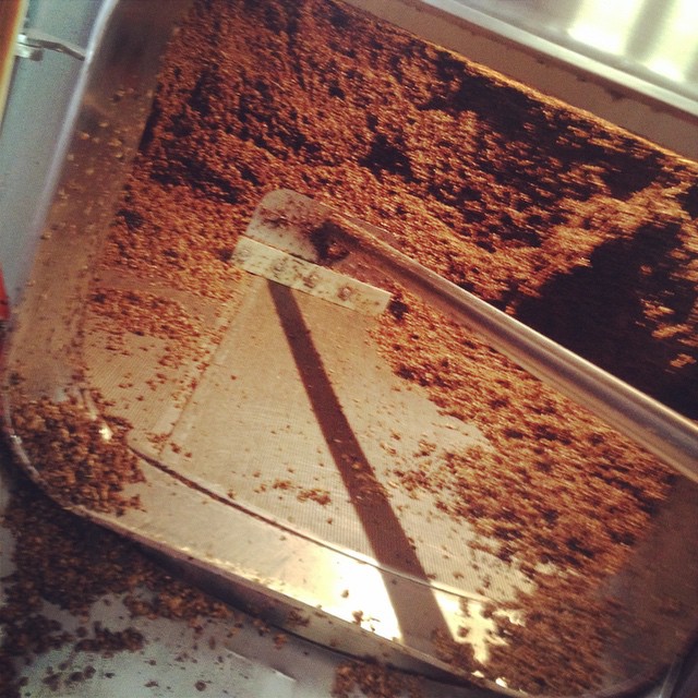 Scooping out the spent grain for our next seasonal beer release... The Moxxee Coffee Stout!
